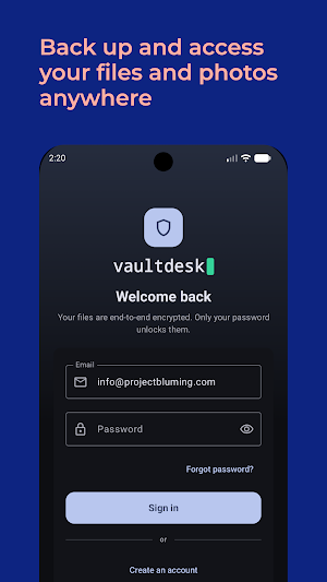 Vault Desk - Encrypted storage Screenshot 0