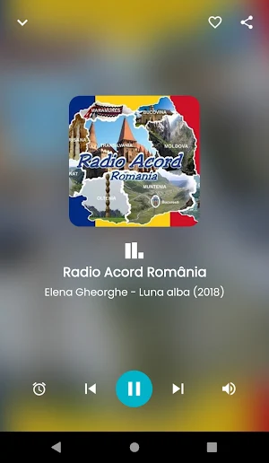 Radio muzică de petrecere Screenshot 1