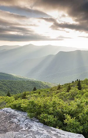 North Carolina Wallpaper HD Screenshot 1