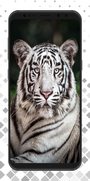 White Tiger Wallpaper 4K Screenshot 2