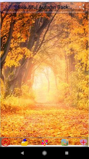 Beautiful Autumn Backgrounds Screenshot 1