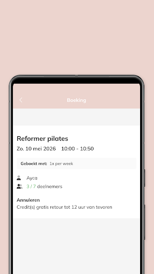 Reformique Screenshot 3