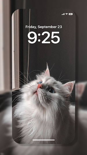 Cat Wallpaper Screenshot 3