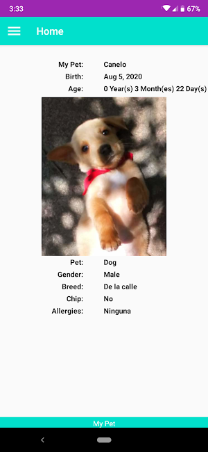 My pet Screenshot 0