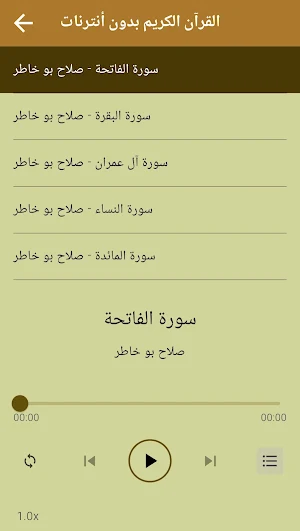القرآن صلاح بو خاطر بدون نت Screenshot 2
