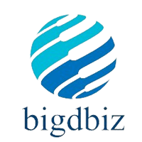 Bigdbiz PostSalesServices