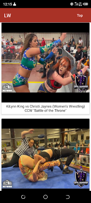 Ladies Wrestling Screenshot 2