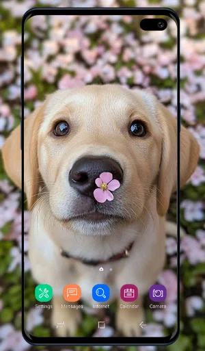 Puppy Wallpaper Screenshot 1