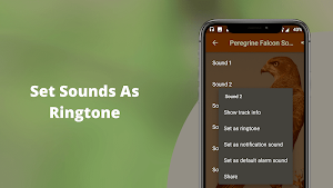 Peregrine Falcon Sounds - Peregrine Falcon Calls Screenshot 3
