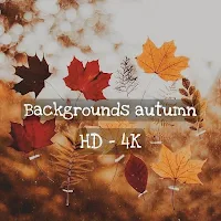 Backgrounds autumn