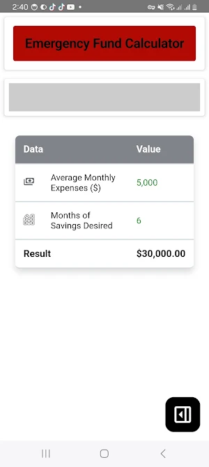 Emergency Fund Calculator Screenshot 3
