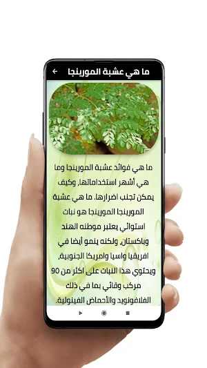 عشبة المورينغا وفوائدها Screenshot 2