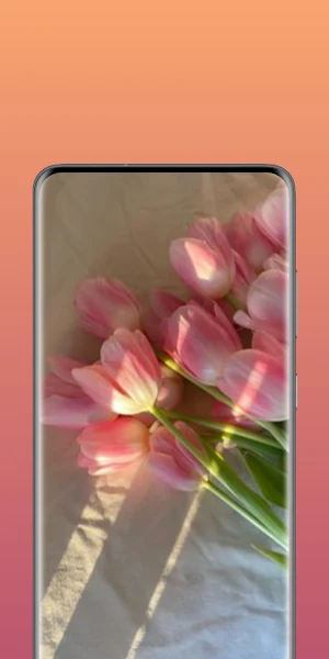 flowers wallpaper HD Screenshot 2