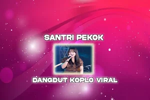 Dangdut Koplo Santri Pekok Screenshot 0