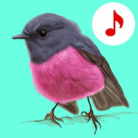 Bird Songs: Ringtones