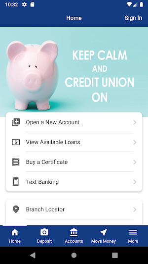 IRS Buffalo FCU Screenshot 0