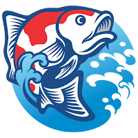 Liga Koi Indonesia