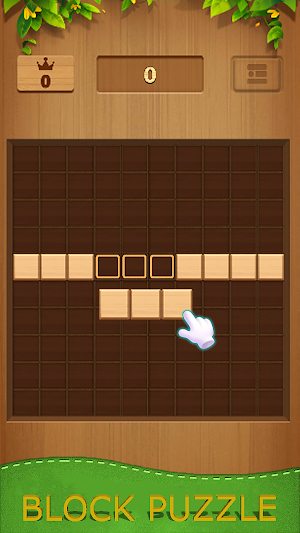 Classic Wood Block Puzzle Game Screenshot 2