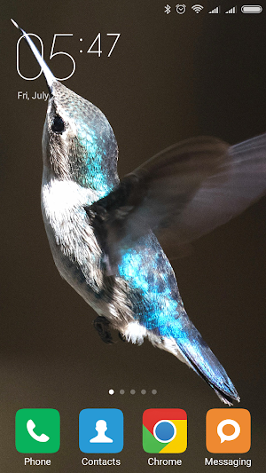 Hummingbird Wallpapers Screenshot 2