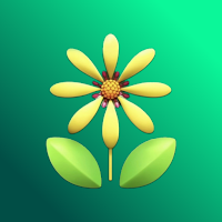Sun Flora