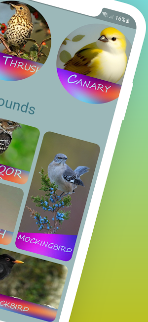 Singing Birds Screenshot 1