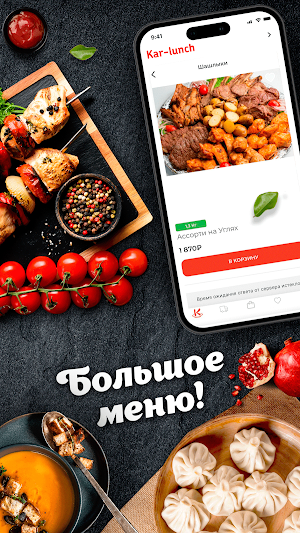 Кар-Ланч Screenshot 1