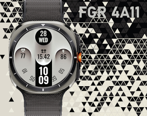 FGR 4A11 Screenshot 2