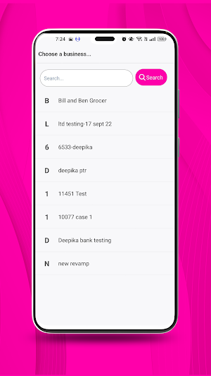 dns accounting Screenshot 2