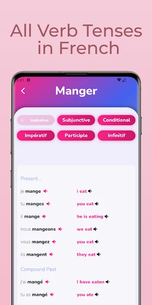 French Verbs & Conjugation Screenshot 2