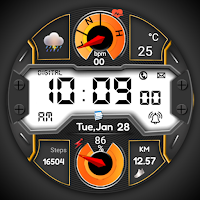 FSW279 Digital watchface