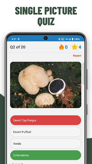 Mushrooms Quiz - Guess species Screenshot 3