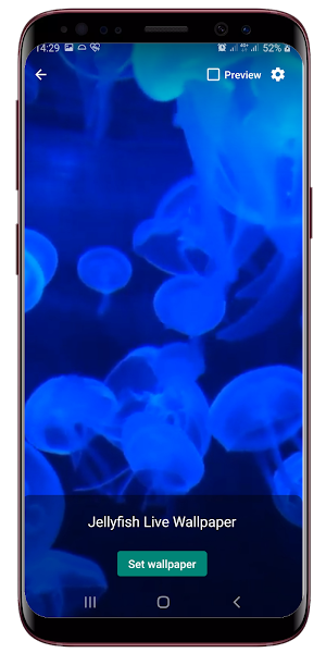 Jellyfish Live Wallpaper Screenshot 1