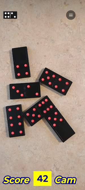 Domino Camera Screenshot 3