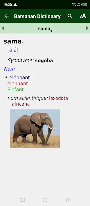 Bamanan Fran Engl dictionary Screenshot 2