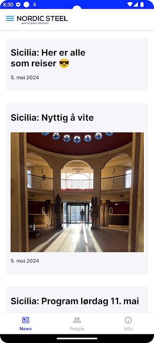 Nordic Steel Screenshot 0