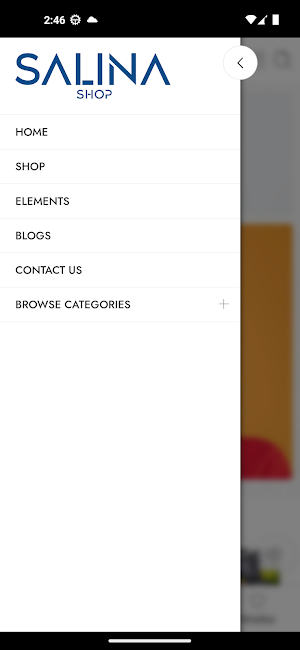 Salina Gate Screenshot 2