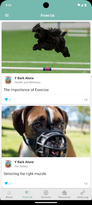 Y Bark Alone Screenshot 2