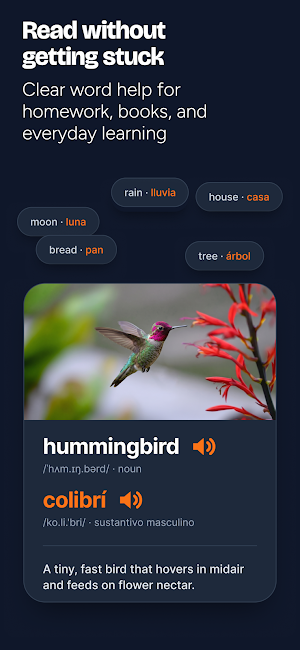 Bilingual English Dictionary Screenshot 3