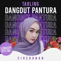 Lagu Dangdut Pantura Offline