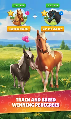 Horse Racing Solitaire Screenshot 1