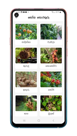 ExpoSpice Screenshot 2