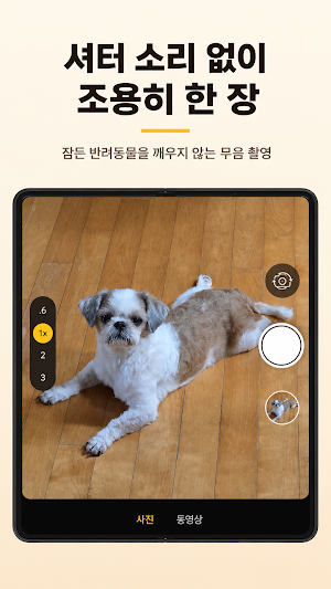 무음카메라: 화질 손해 없는 고화질 촬영 Screenshot 0