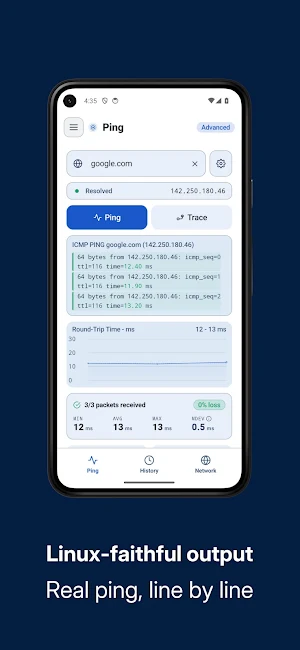 Ping Network Tool Screenshot 1