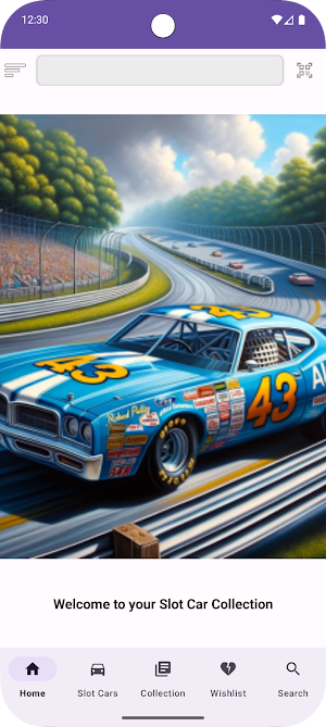 Slot Car Collection Screenshot 0