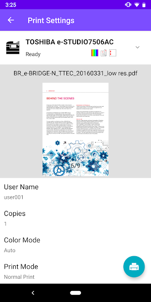 e-BRIDGE Print & Capture Screenshot 2