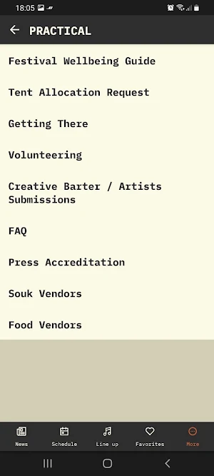 Magnetic Fields Festival Screenshot 3
