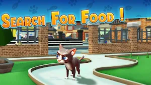 Stray Cat Survival Screenshot 1