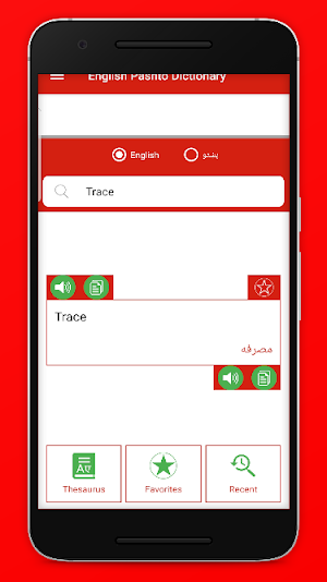 English Pashto Offline Dictionary & Thesaurus Screenshot 3