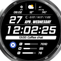 WFP 243 Sporty Watch Face