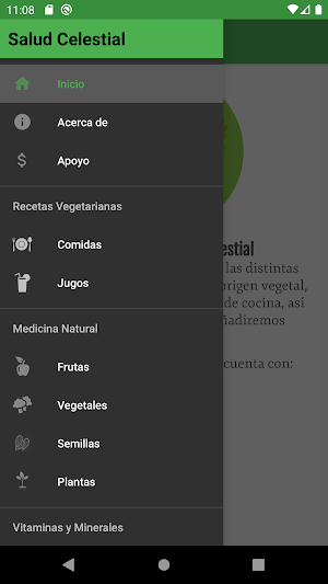 Salud Celestial Screenshot 1